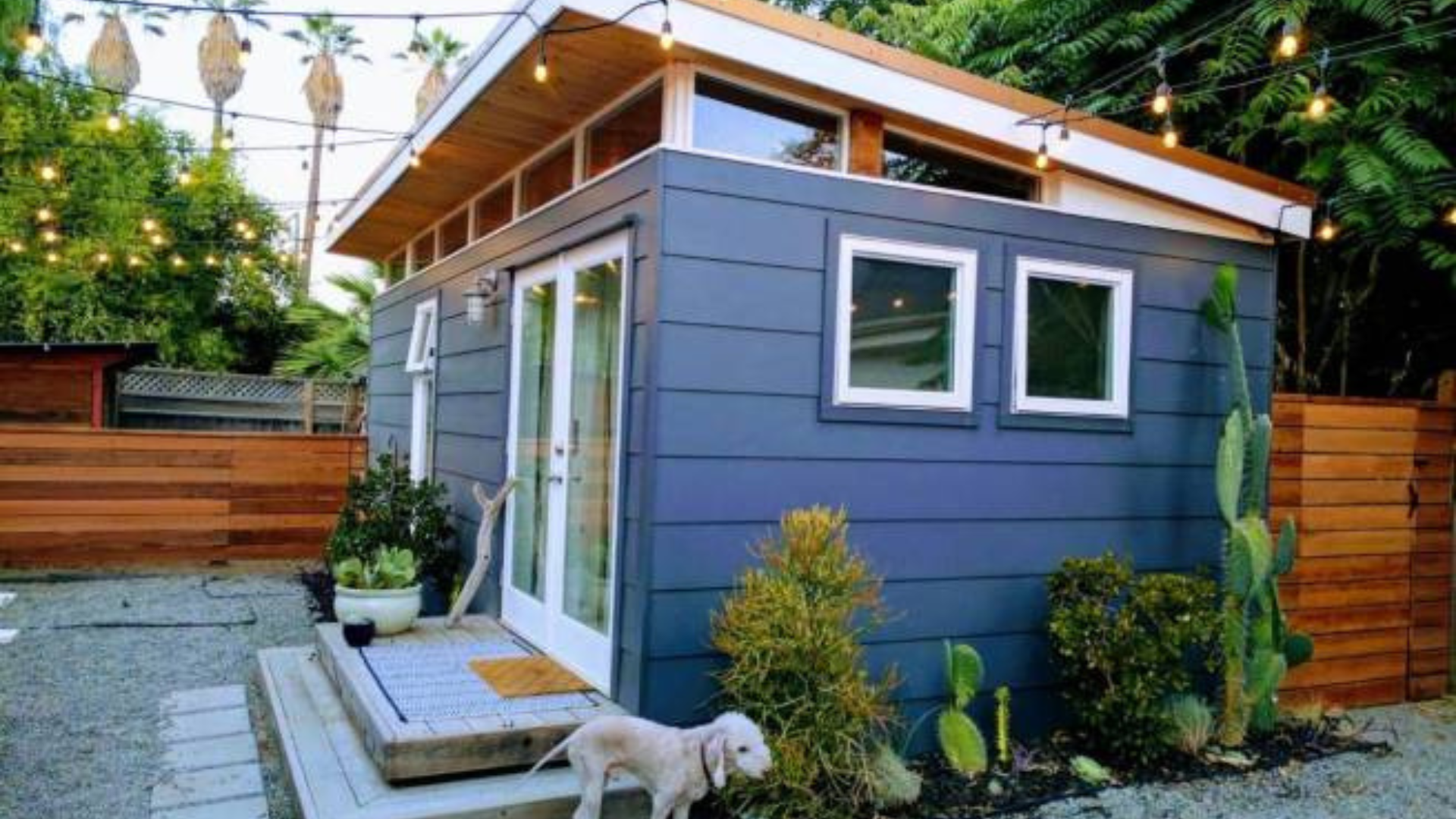 Modern-Shed: Making you money $$$