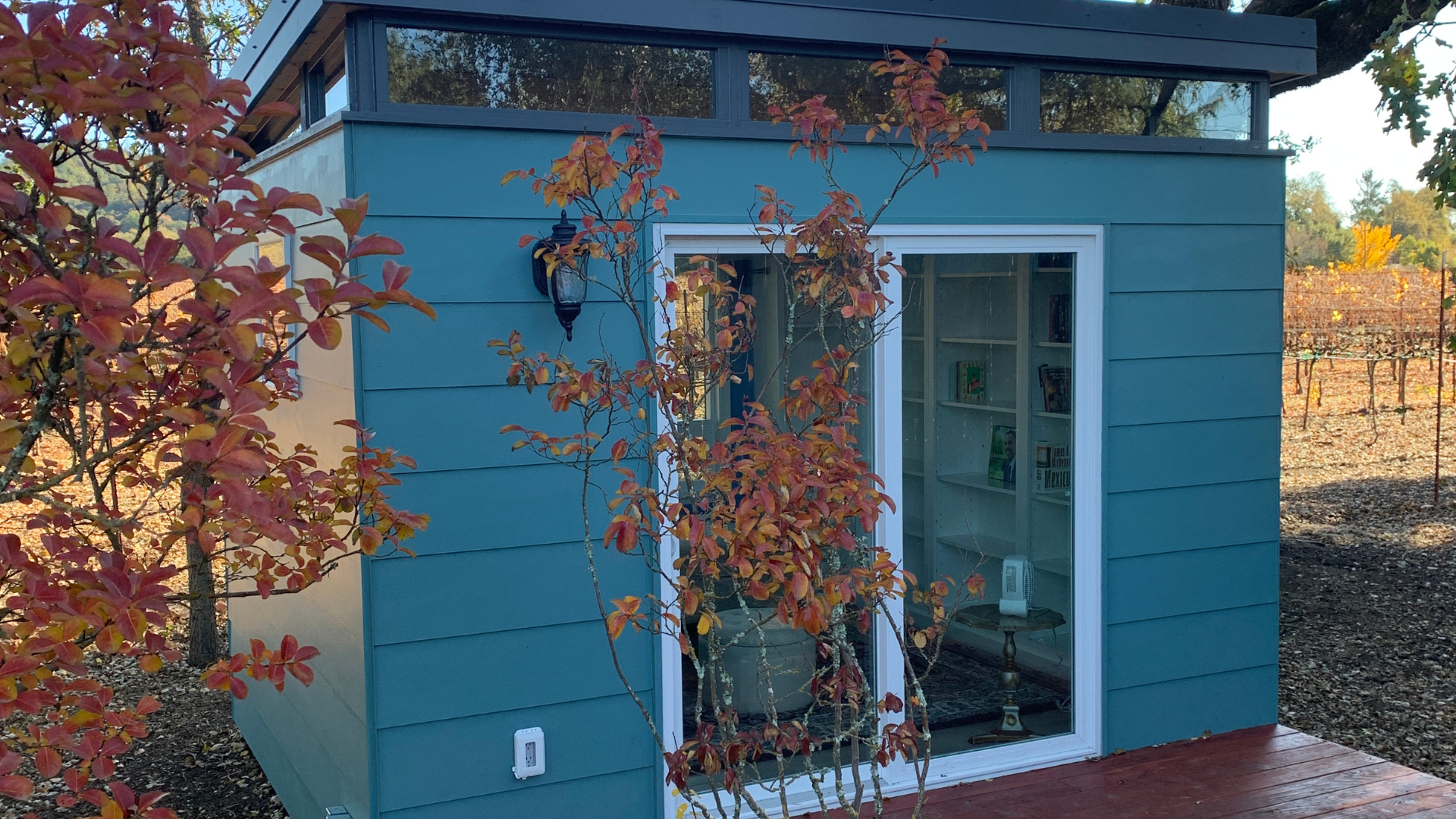 A Secret Garden Library | Modern Shed