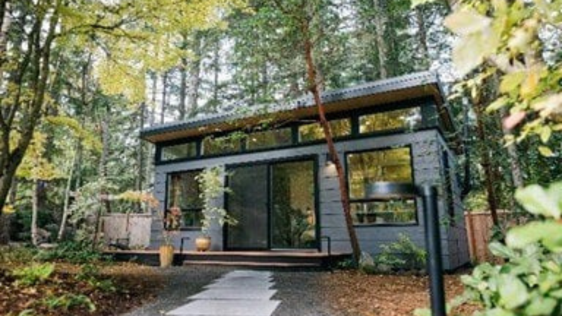 Tree Shed | Modern Shed